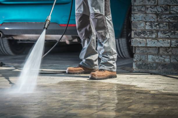 Best Winterizing Services  in Postville, IA