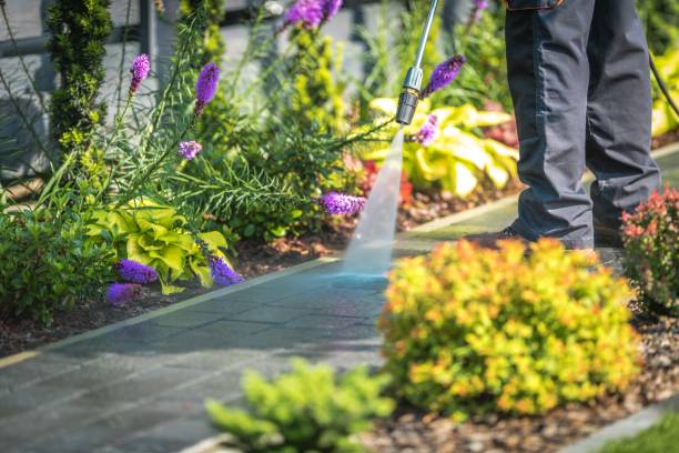 Best Sidewalk and Walkway Cleaning  in Postville, IA