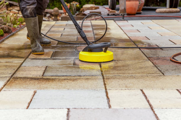 Best Warehouse Cleaning  in Postville, IA
