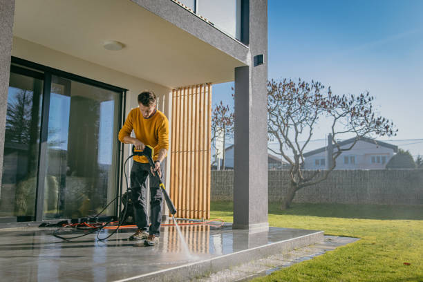 Best Pre-Holiday Cleaning  in Postville, IA