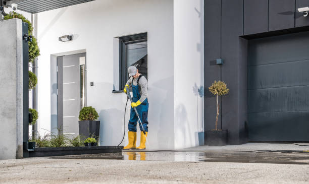 Best Soft Washing  in Postville, IA